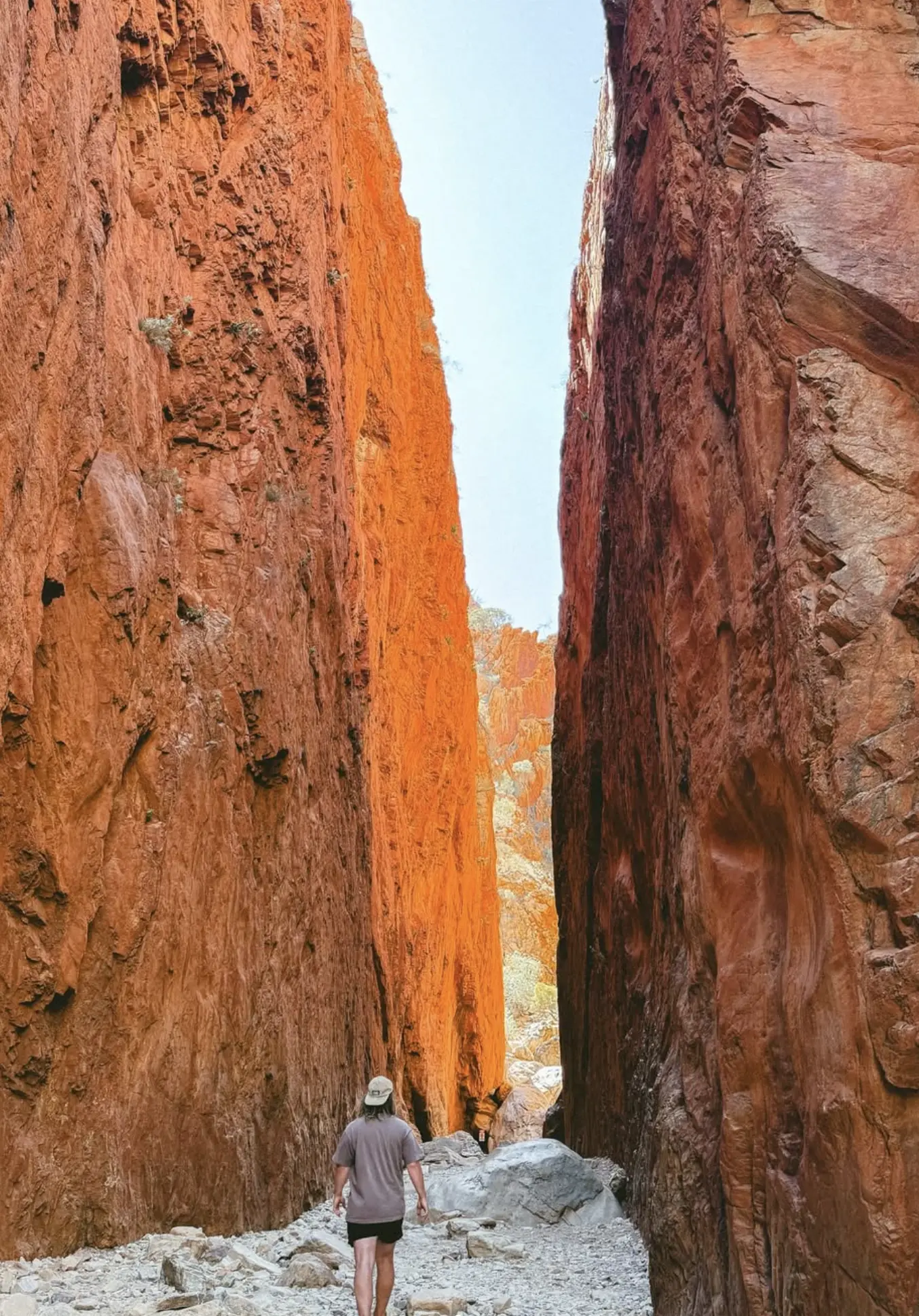 Kings Canyon Rim Walk
