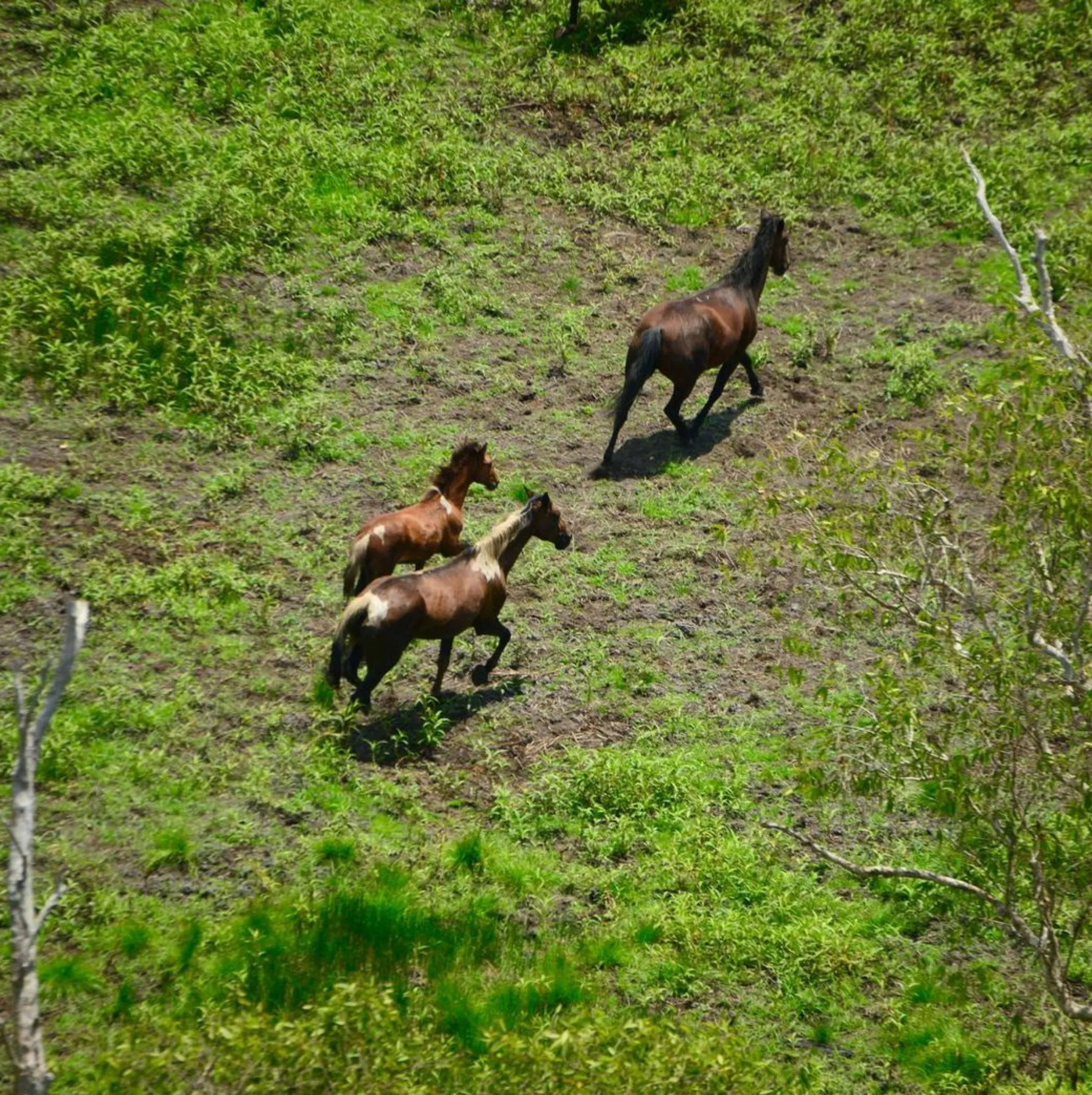 Protecting Kakadu National-Park
