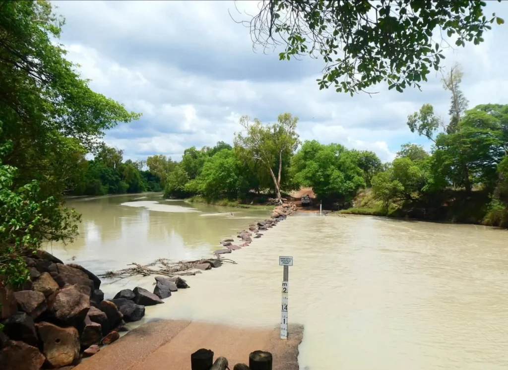 crocodile attacks kakadu
