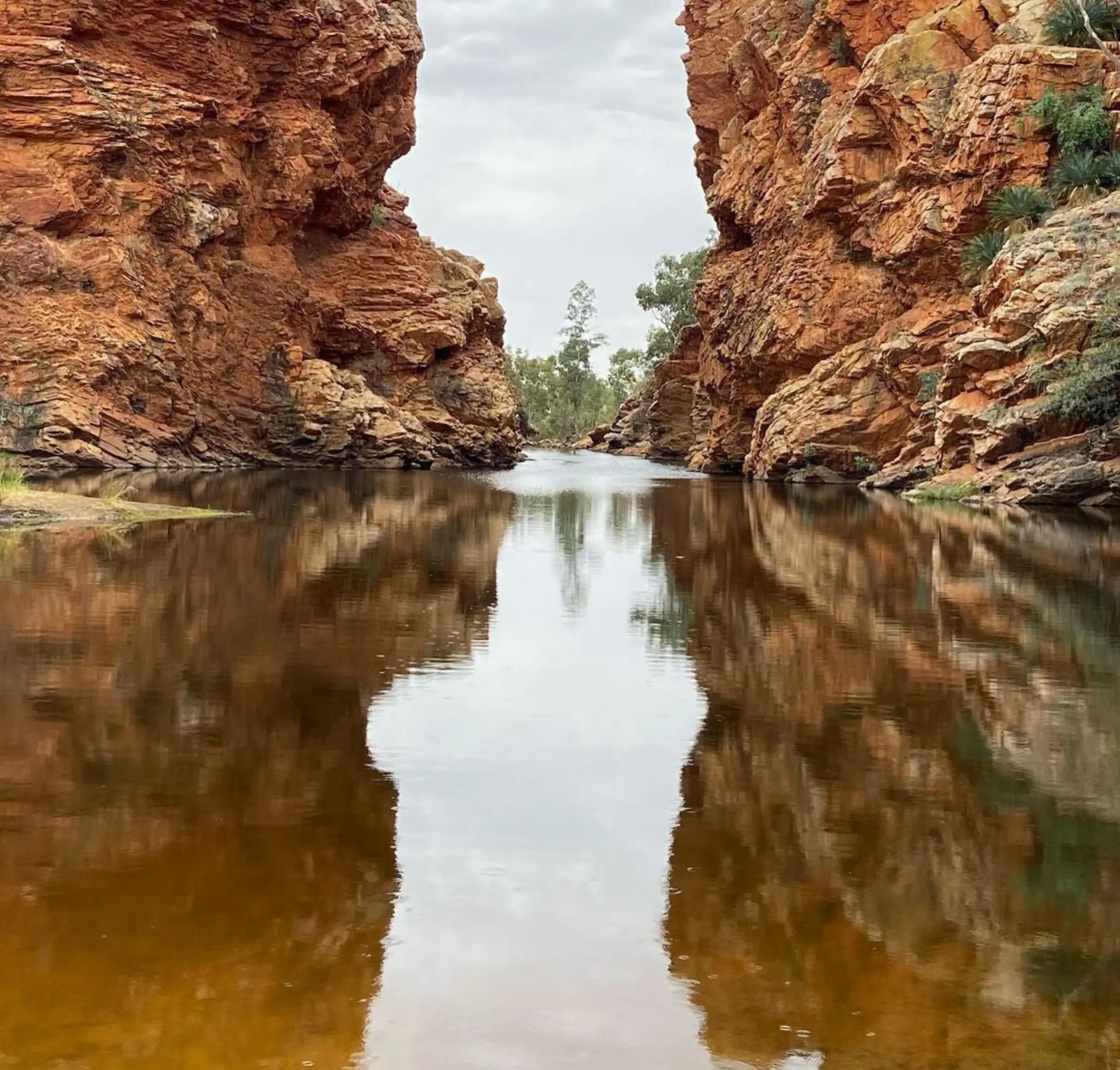 permanent waterhole Larapinta Trail