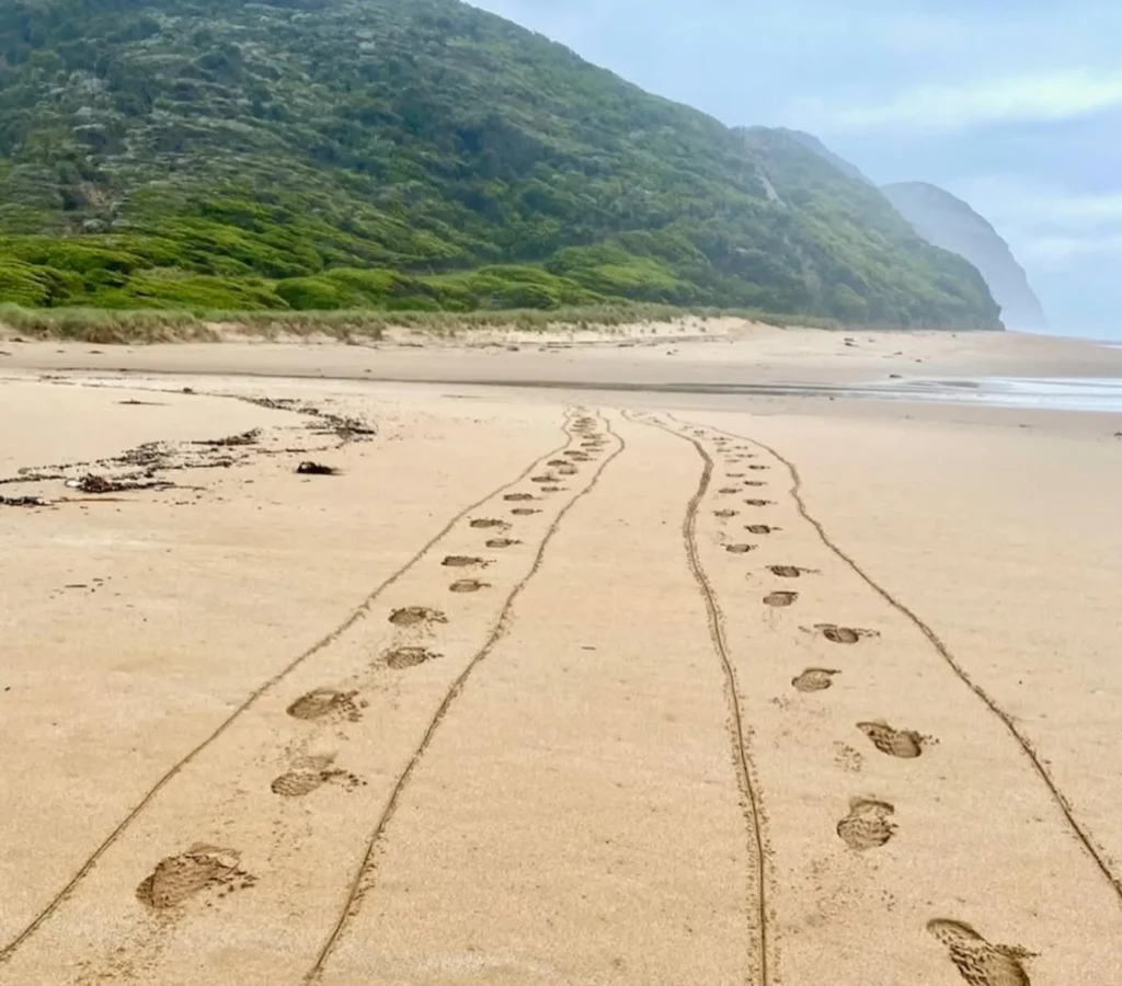 which direction does the great ocean road run